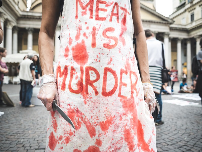 The Mind of&nbsp;Meatless