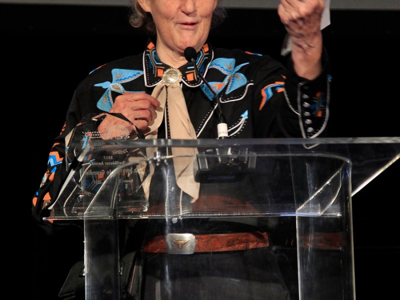 Look at the Bigger&nbsp;Picture