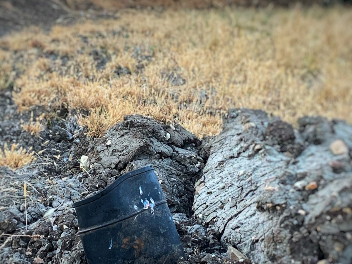 When The Rain&nbsp;Returns