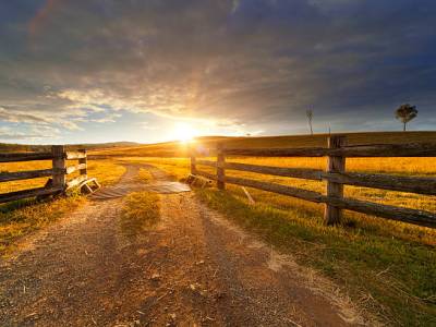 Yellowstone Started the&nbsp;Conversation