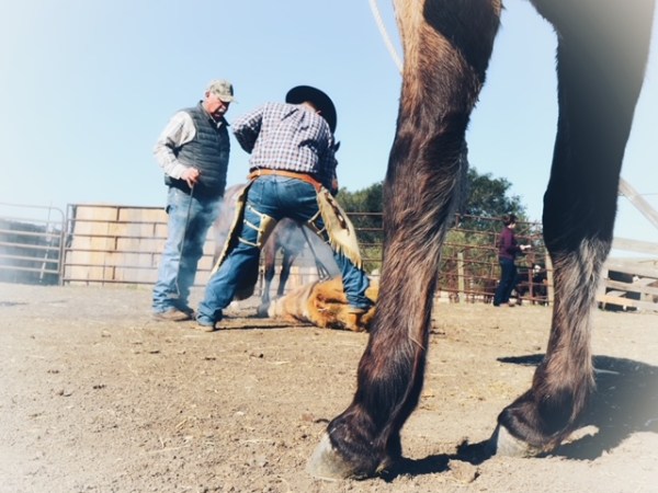 When the Smoke&nbsp;Clears